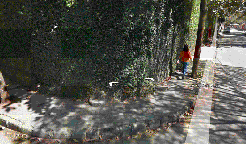 Falling over on street view.gif