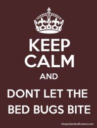 bedbug100